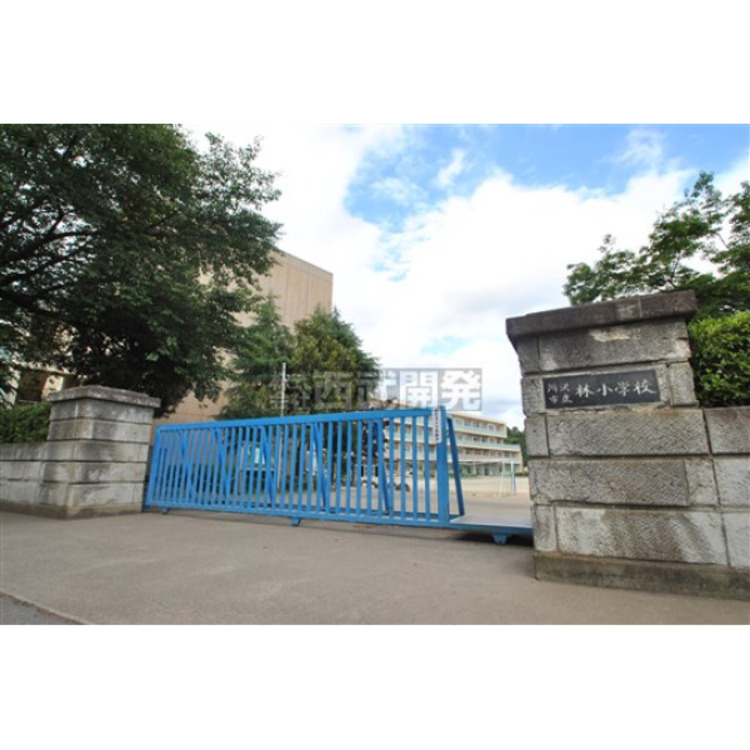 周辺 林小学校(約500m)