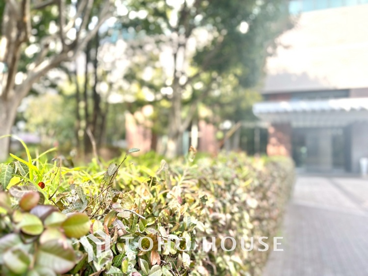 外観 ◆サンサンと◆差し込む太陽の光がこのリビングに笑いをもたらす。ソファの上のクッションがポカポカした暖気にぬくぬくと微睡んでいる。