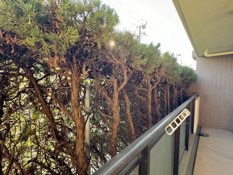 その他 陽当たり・通風・開放感に恵まれた環境です。