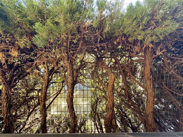 その他 眺望や窓からの景色が良いと、家で過ごす時間も快適です。