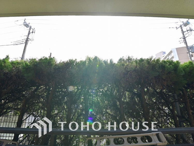 その他 バルコニーからの眺望