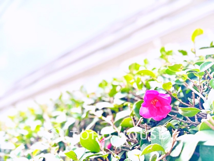 バルコニー 開放感あふれるバルコニーで、朝の光や夜風を感じながら心地よい時間を過ごせます。