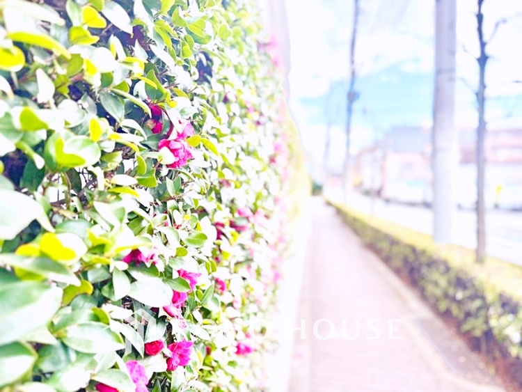 バルコニー ベランダから望む紺碧の空からそよ風、そして目に映るのはグリーン広がる風光明媚な世界。それは清々しい自然の薫りを肌で感じる幸せな空間。