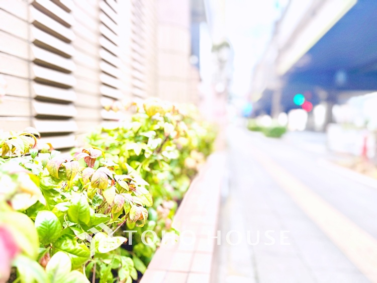 外観 【House of the Sun】太陽の温かな光がお家全体を照らす。そこには目を輝かせ笑顔で見つめてくれる君がいて、「ただいま」の言葉がこだまする。そんな君の瞳に恋している。