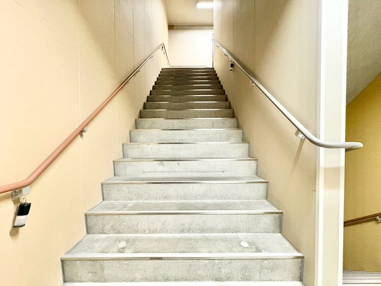 その他 共用部の階段です。明るく清潔に管理されています。