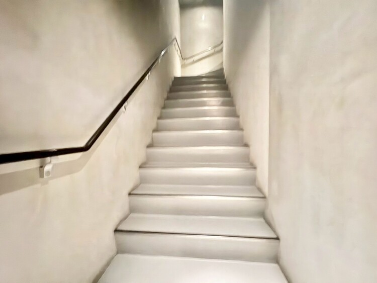 その他 共用部の階段です。明るく清潔に管理されています。