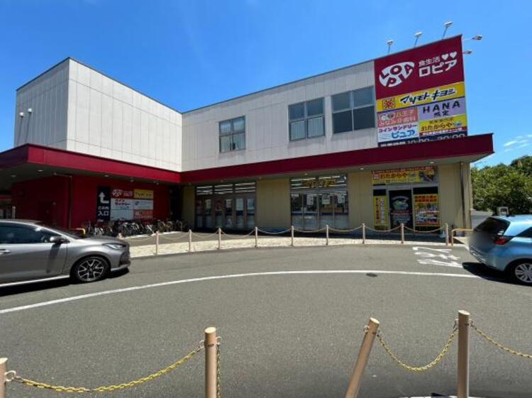 周辺 LOPIA(ロピア) 八王子みなみ野店迄500ｍ