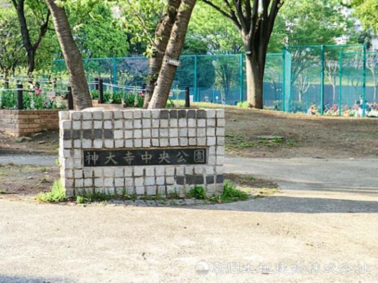 周辺 神大寺中央公園650ｍ