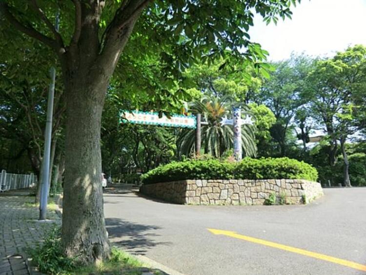 周辺 夢見ヶ崎動物公園　1100ｍ