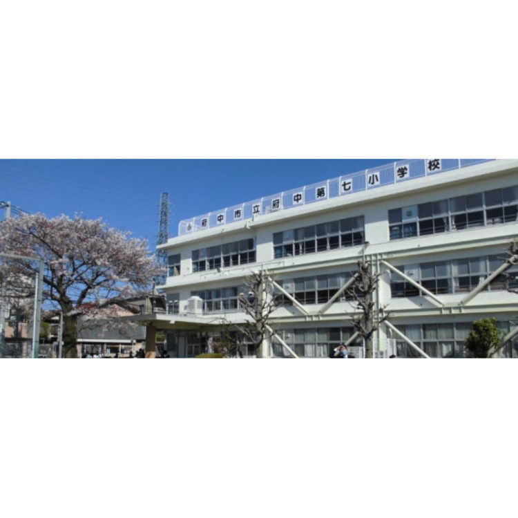 周辺 第七小学校(約550m)