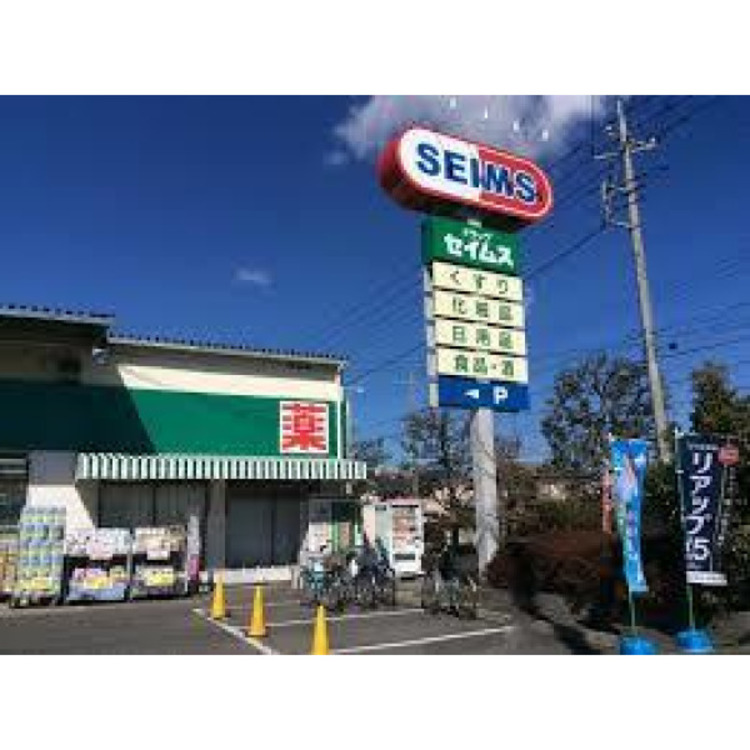 周辺 セイムス(約800m)