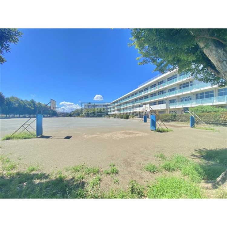 周辺 上新井小学校(約650m)