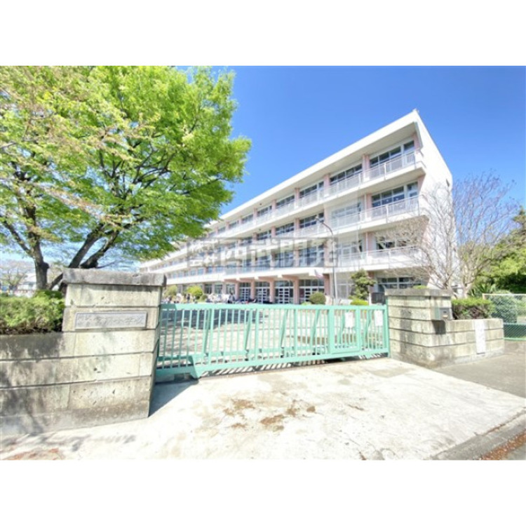 周辺 宮前小学校(約1270m)