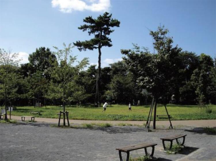 周辺 三宿の森緑地　300m