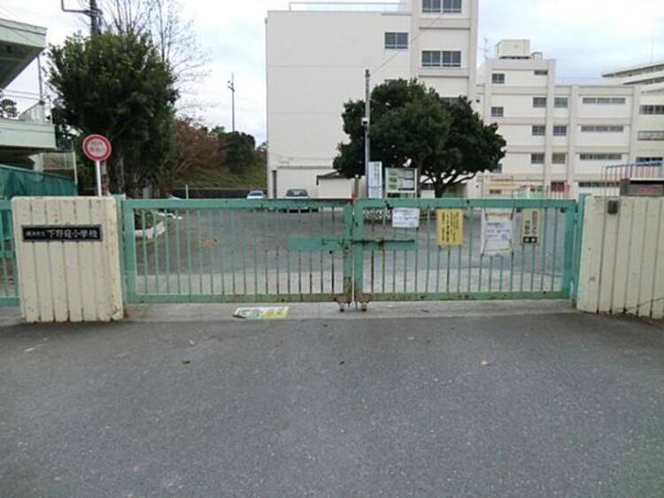 周辺 横浜市立下野庭小学校  470m