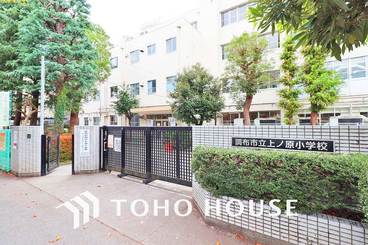 周辺 調布市立上ノ原小学校　距離800ｍ