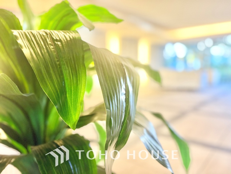 エントランス ほんの少しのこだわり。ちょっとした色使いがその家がもつ雰囲気を醸し出します