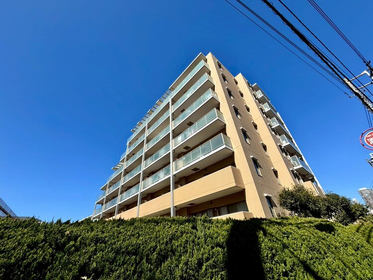 その他 飽きのこないシンプルモダンな外観です。