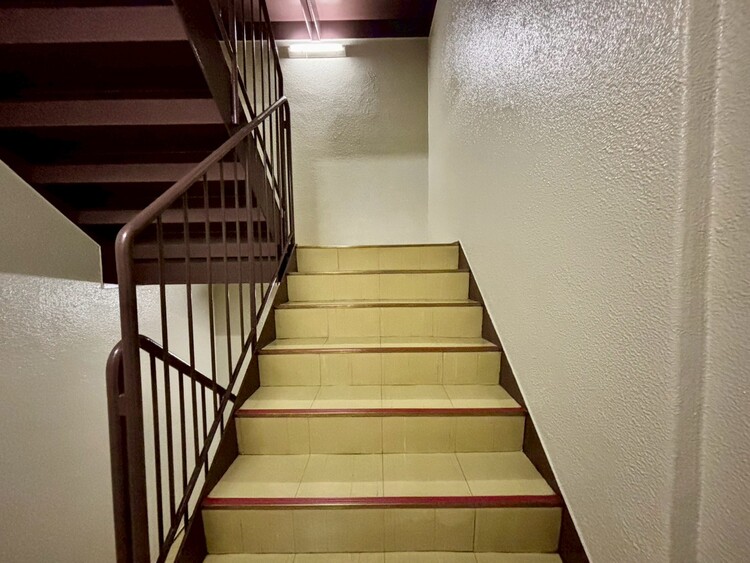 その他 共用部の階段です。明るく清潔に管理されています。
