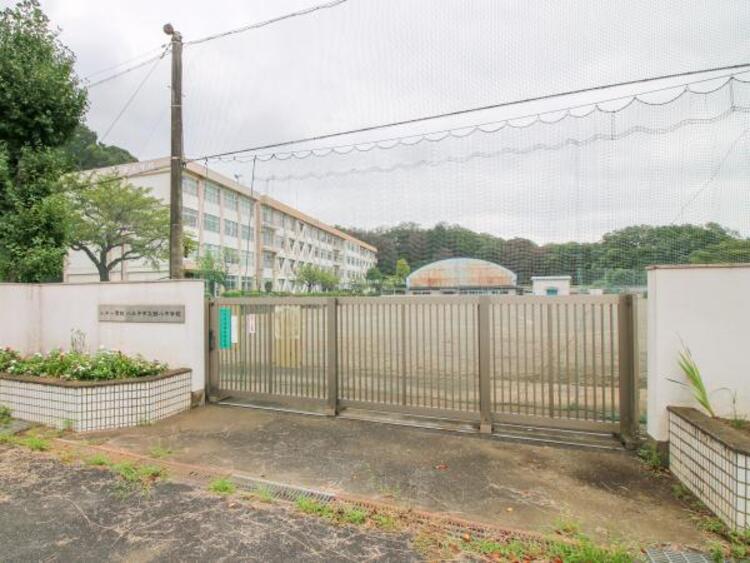 周辺 八王子市立館中学校迄1790ｍ