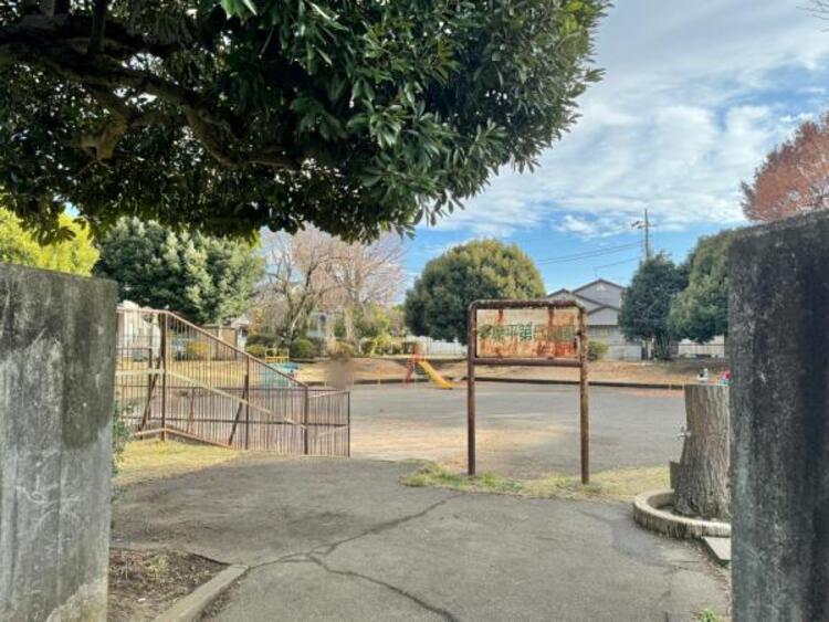 周辺 多摩平第5公園迄250ｍ