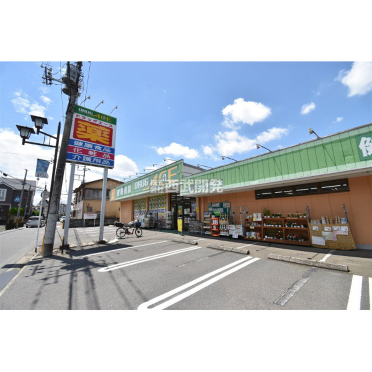 周辺 ドラッグエース(約1100m)