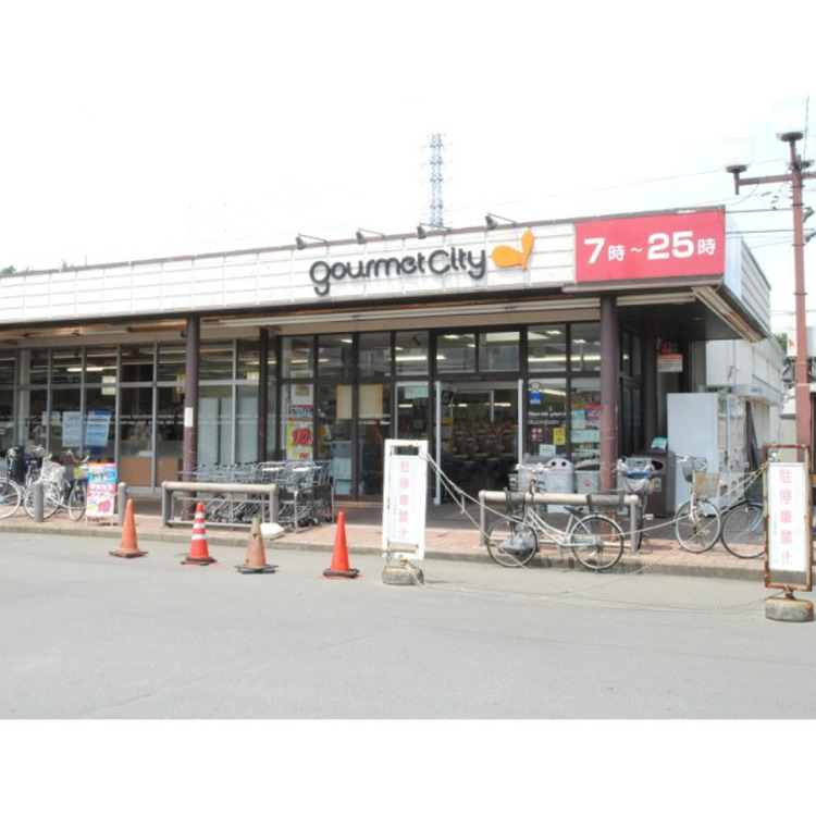 周辺 グルメシティ(約1300m)
