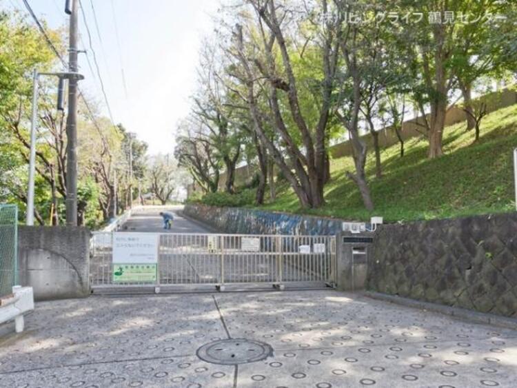 周辺 横浜市立仲尾台中学校　1500ｍ