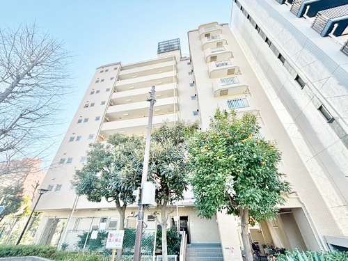 ライオンズマンション扇橋の物件画像