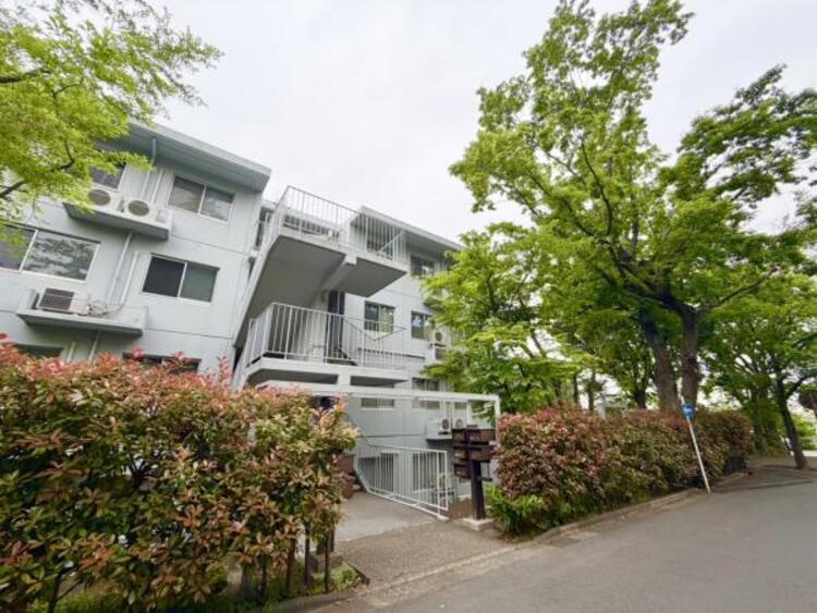 外観 素敵な住宅にはそれに相応しい緑が必要。子供たちの成長、家族の愛情の深まりと共に背を伸ばし年輪を刻んでい木々たちが、大切な家族の住宅を飾ります。