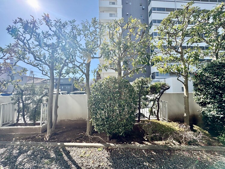 その他 陽当たり・通風・開放感に恵まれた環境です。