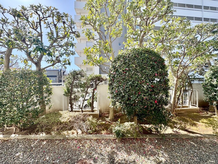 その他 眺望や窓からの景色が良いと、家で過ごす時間も快適です。