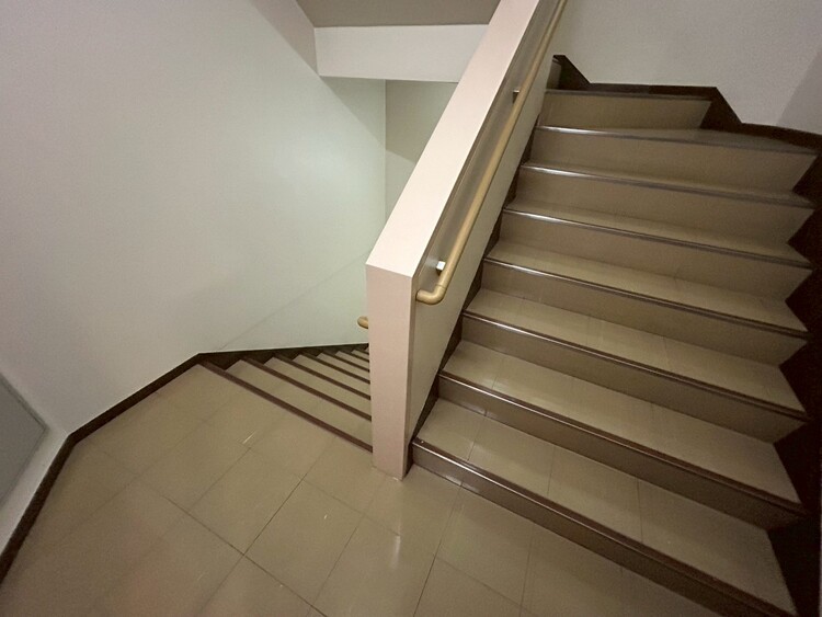 その他 共用部の階段です。明るく清潔に管理されています。