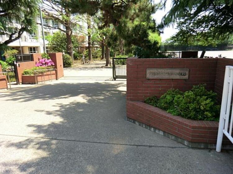 周辺 川崎市立下沼部小学校まで約900ｍ