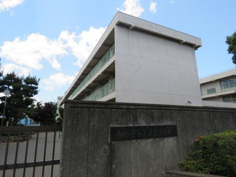 周辺 並木小学校まで約281ｍ