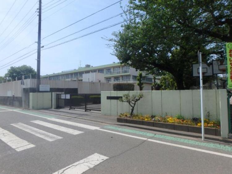 周辺 若草小学校まで約501ｍ