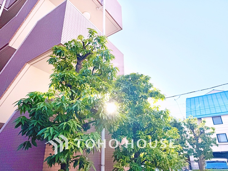 内装 収納力に優れた居室で、すっきりとした暮らしを実現。快適な生活空間が広がります。