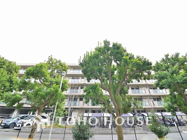 その他 住戸からの眺望