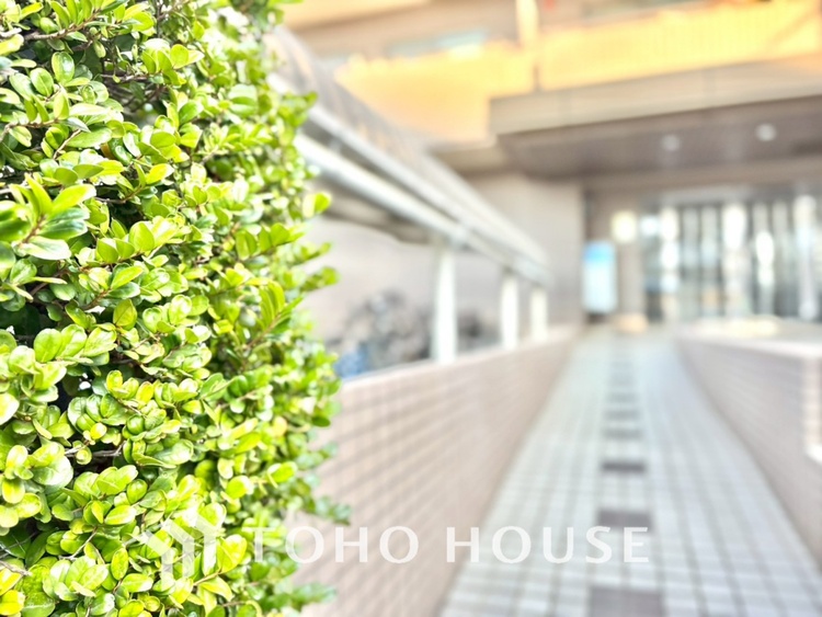 その他 【ENTRANCE】◆そびえ立つ◆我が家のシンボル。遠くの空が赤く染まる夕べが待ち遠しい。