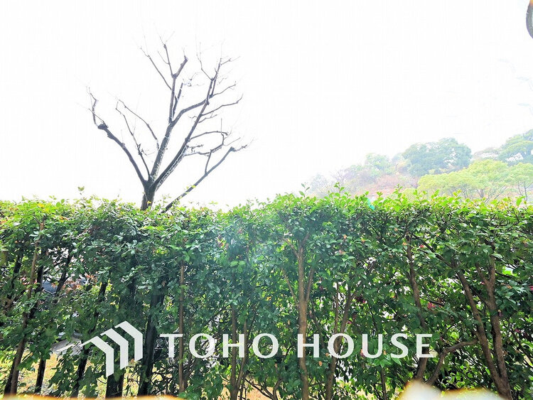 その他 住戸からの眺望