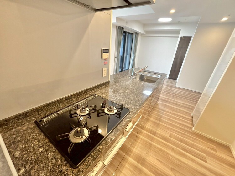 その他 使いやすくスタイリッシュなキッチン空間になっております。