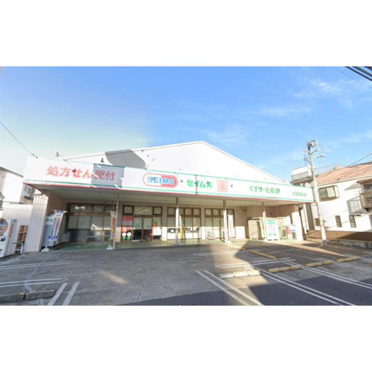 周辺 セイムス(約210m)