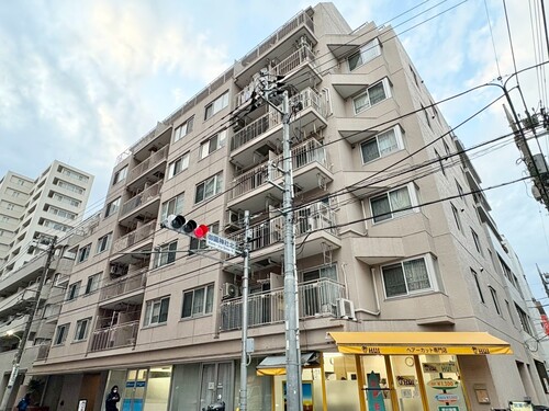 蒲田ビューハイツの物件画像