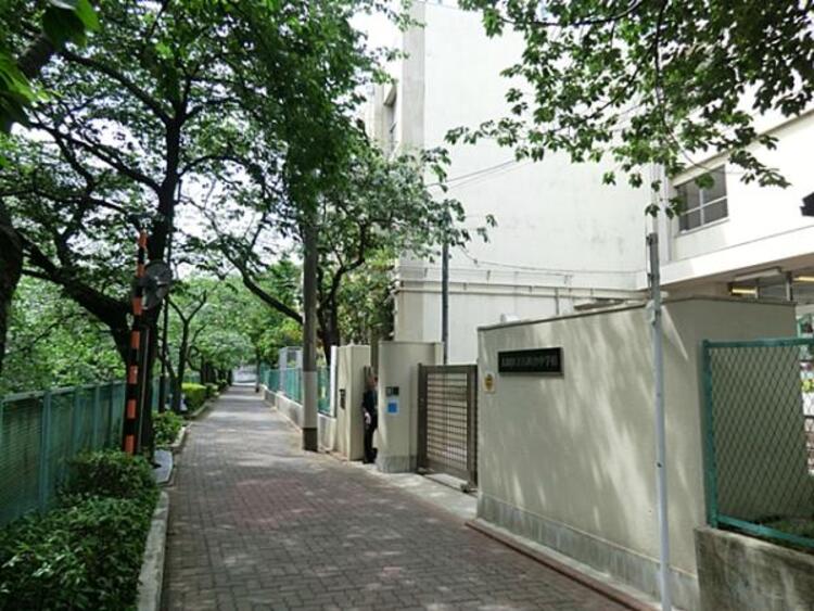 周辺 大田区立石川台中学校まで約310ｍ