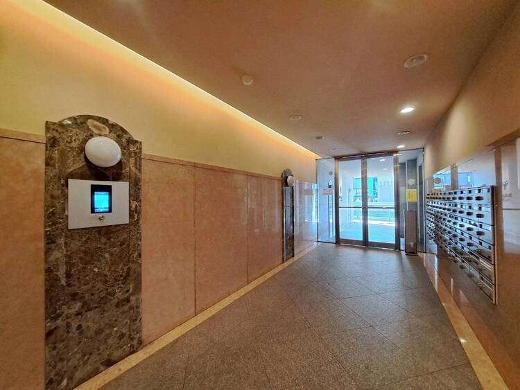 その他 館内は静寂な中が保たれており、管理が行き届いている印象を受けました。