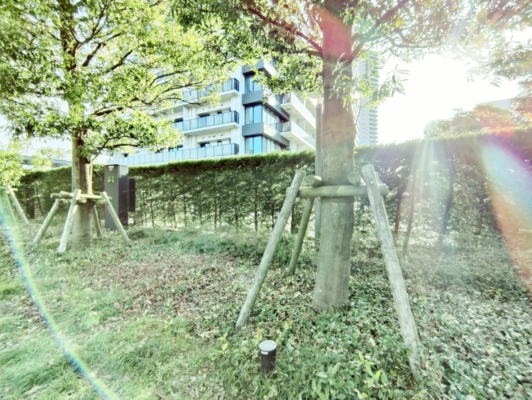 その他 共用部の中庭です。明るく清潔に管理されています。