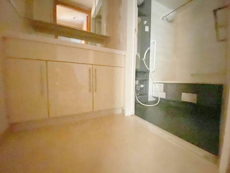 その他 十分な広さの脱衣所。