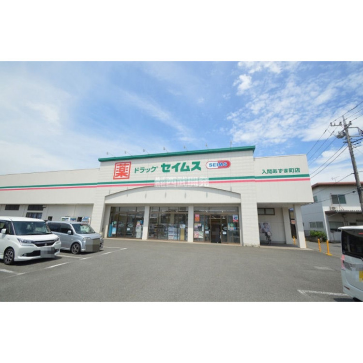 周辺 セイムス(約430m)