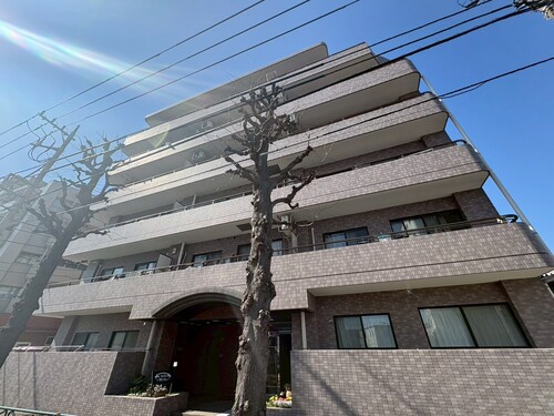 ドムール江古田の物件画像