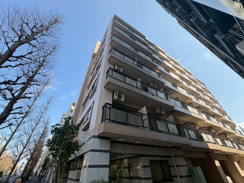 マイキャッスル新高円寺の物件画像